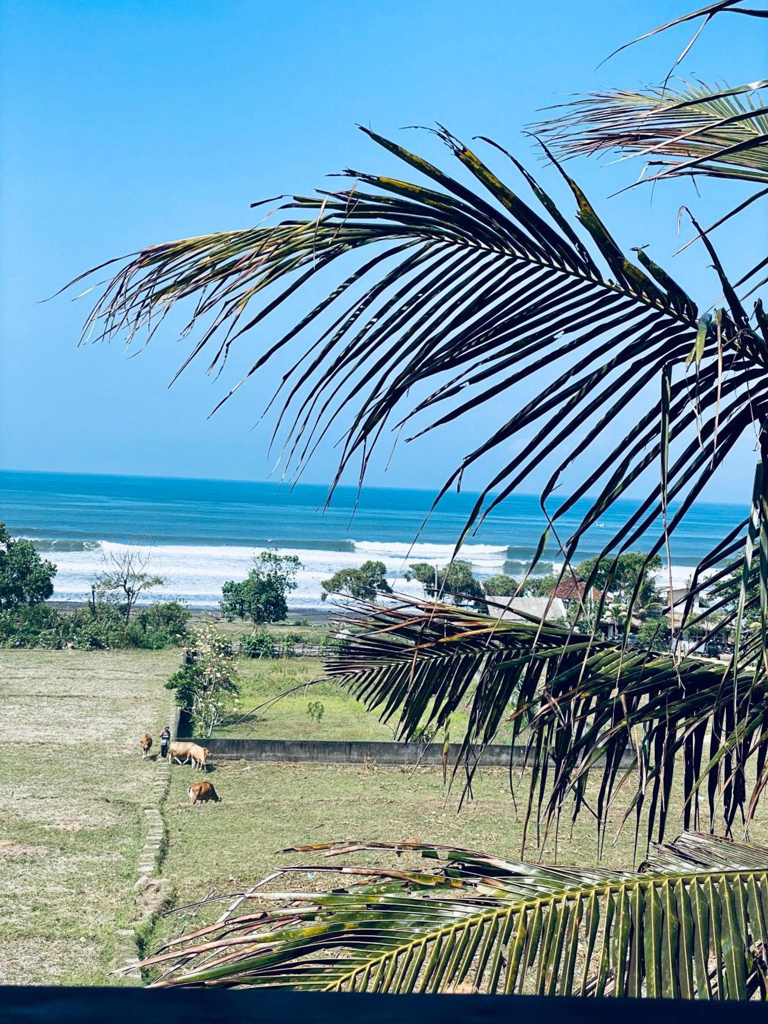 Airsatang Dikaloha Surfschool And Stay מראה חיצוני תמונה
